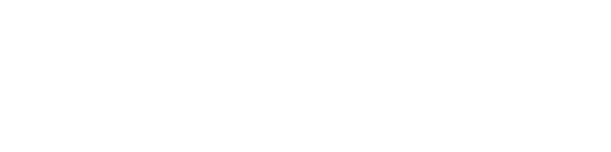 Alkış & Partners